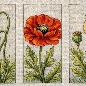 Triptych Poppy